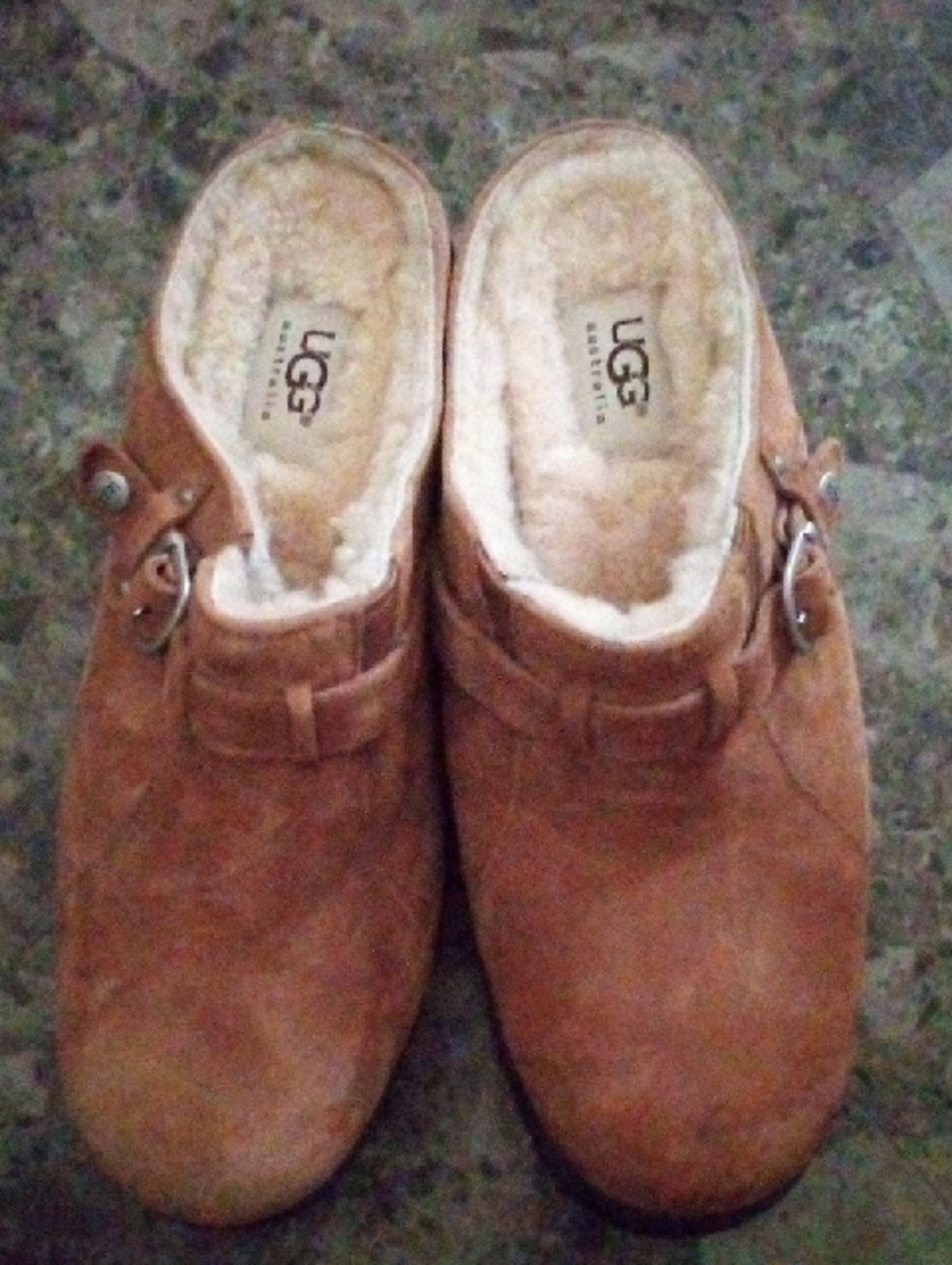 UGG Chestnut Suede Shearling Clogs with Buckle